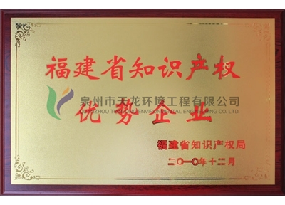 Intellectual Property Advantage Enterprises in Fujian Province